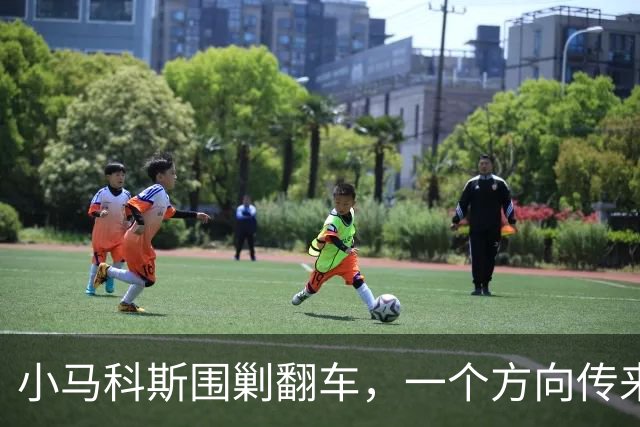 小马科斯围剿翻车，一个方向传来噩耗，老杜家族迎来绝境翻盘时刻