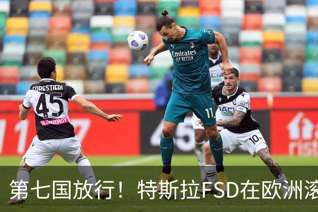 第七国放行！特斯拉FSD在欧洲滚起雪球，捷克车主等来v14