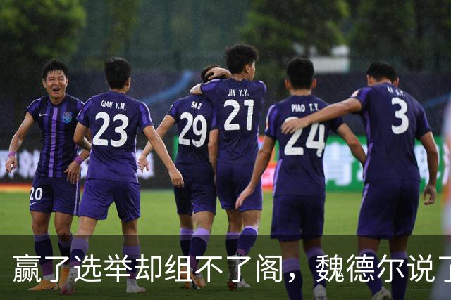 赢了选举却组不了阁，魏德尔说了实话：选择党执政后会这样干！